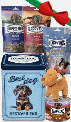 Xmas Dog Box - Coffret de Nol Happy Dog